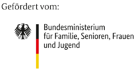 Logo Bundesministerium für Bildung für Familie, Senioren, Frauen und Jugend